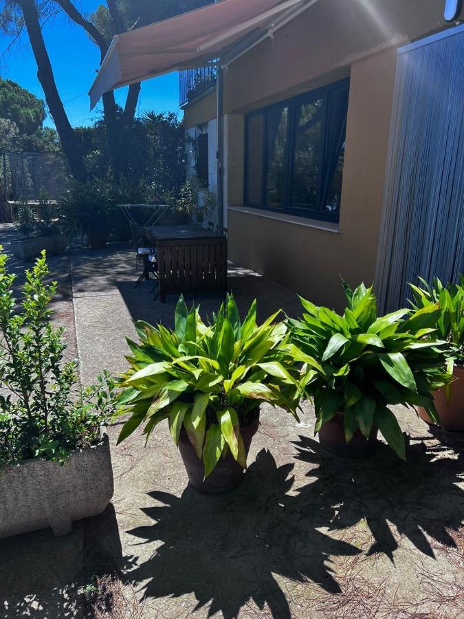 La Casa Linda Con Terraza Y Vistas Al Mar Appartement Calonge (Catalonia)